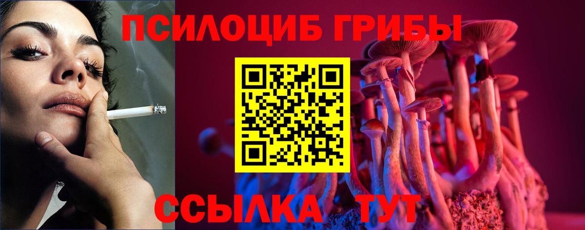Псилоцибиновые грибы мицелий  Галлюциногенные грибы ЛСД  Аргун  Вход с VPN 